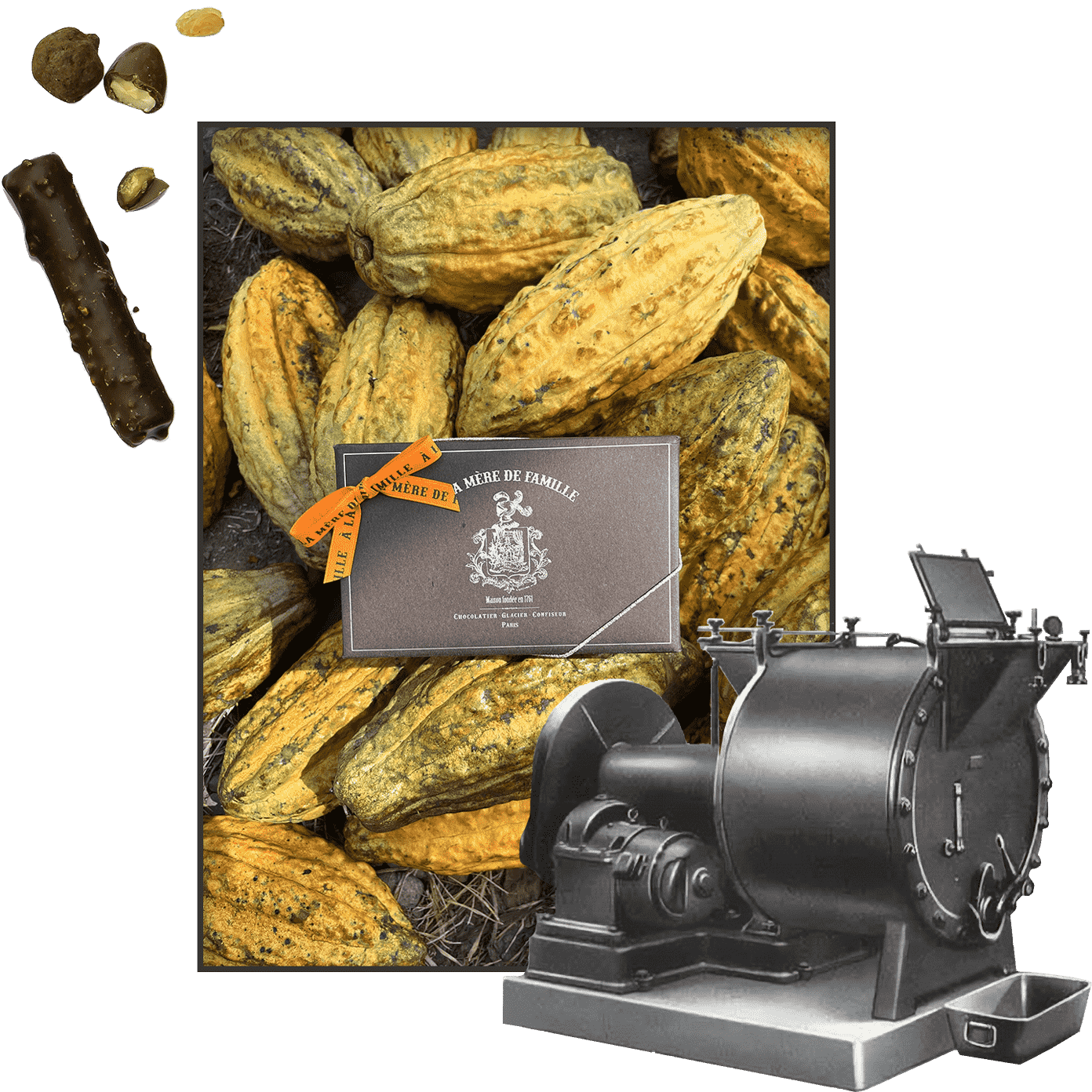 Coffret de chocolats – 550 g • ROY chocolatier